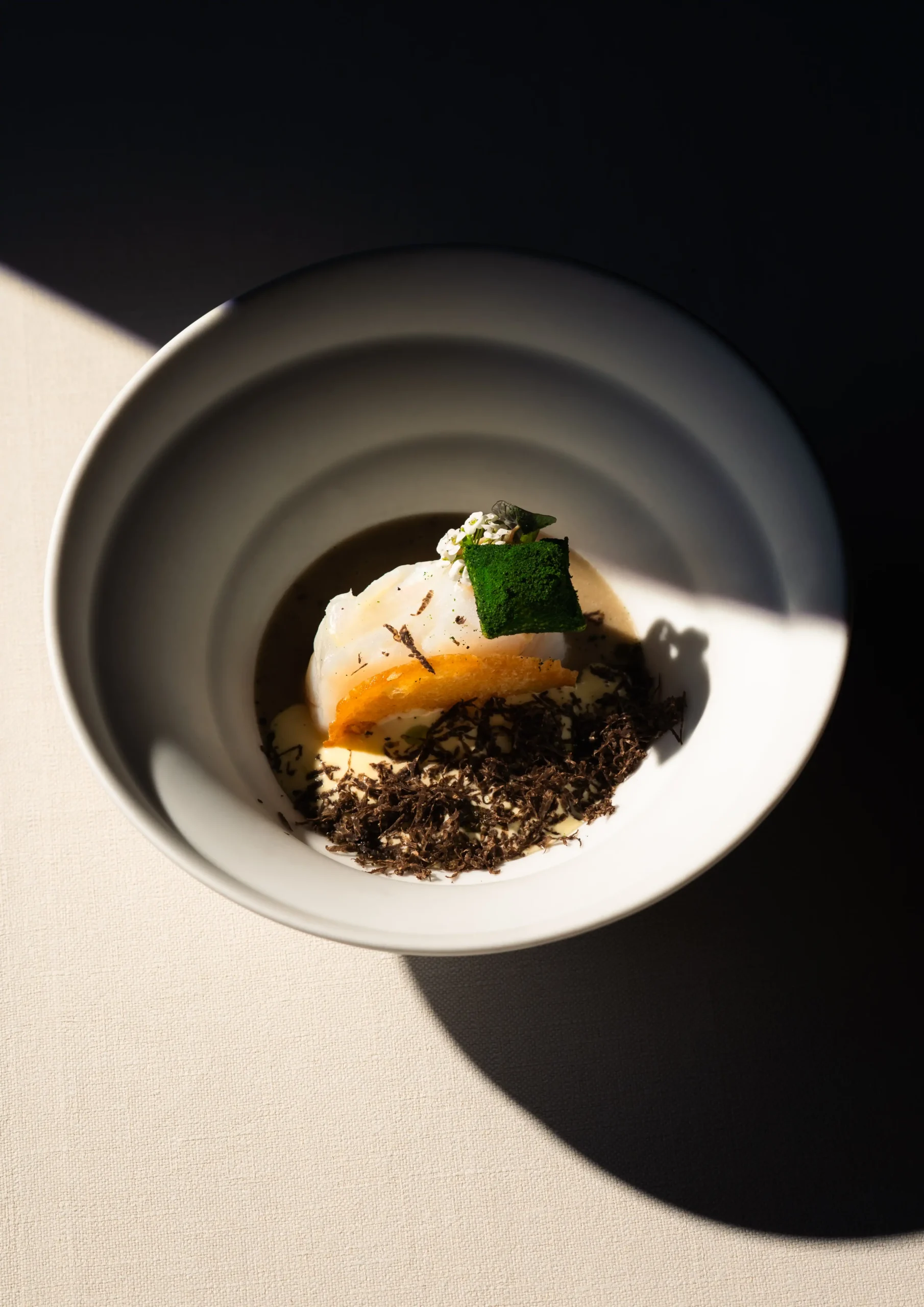 close up van gerecht